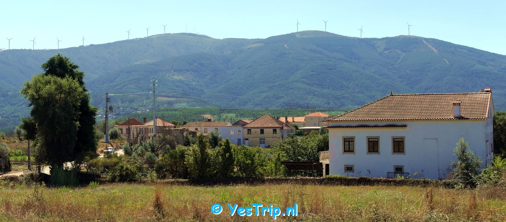 xxx From Serpins to Penacova